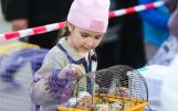 img_0059.JPG