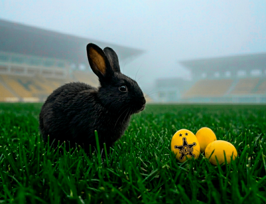 С праздником Светлой Пасхи